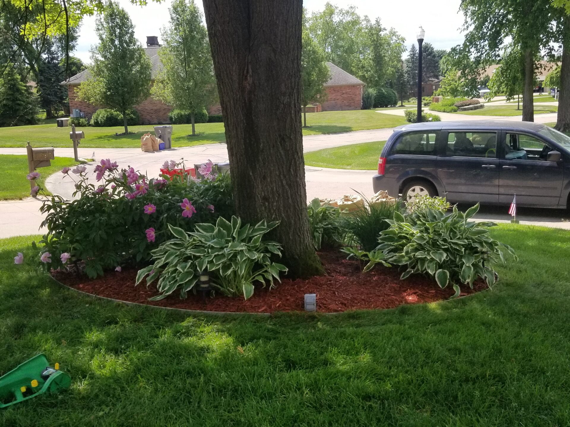 Macomb County lawn care and landscaping services showcasing garden maintenance around a tree.