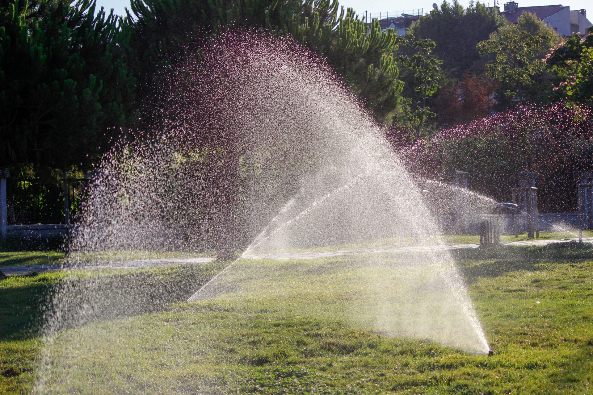 whole yard irrigation
