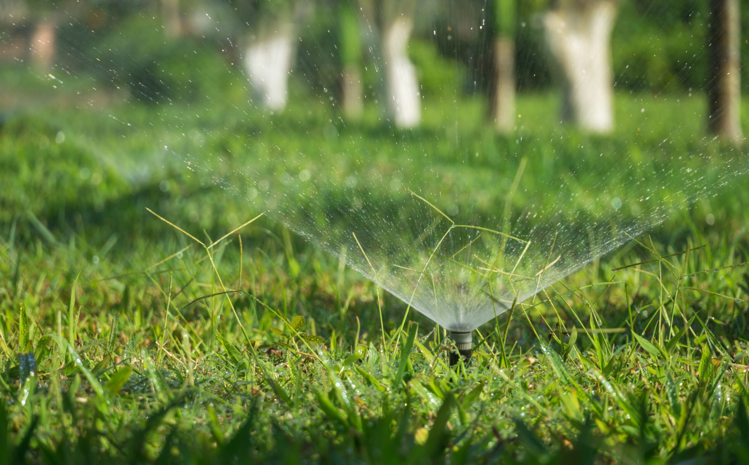 irrigation startup