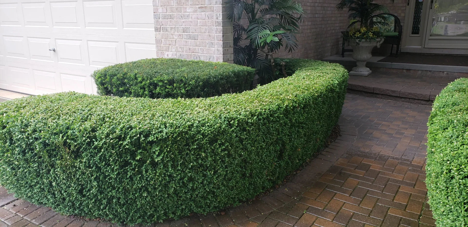Hedge Trimming