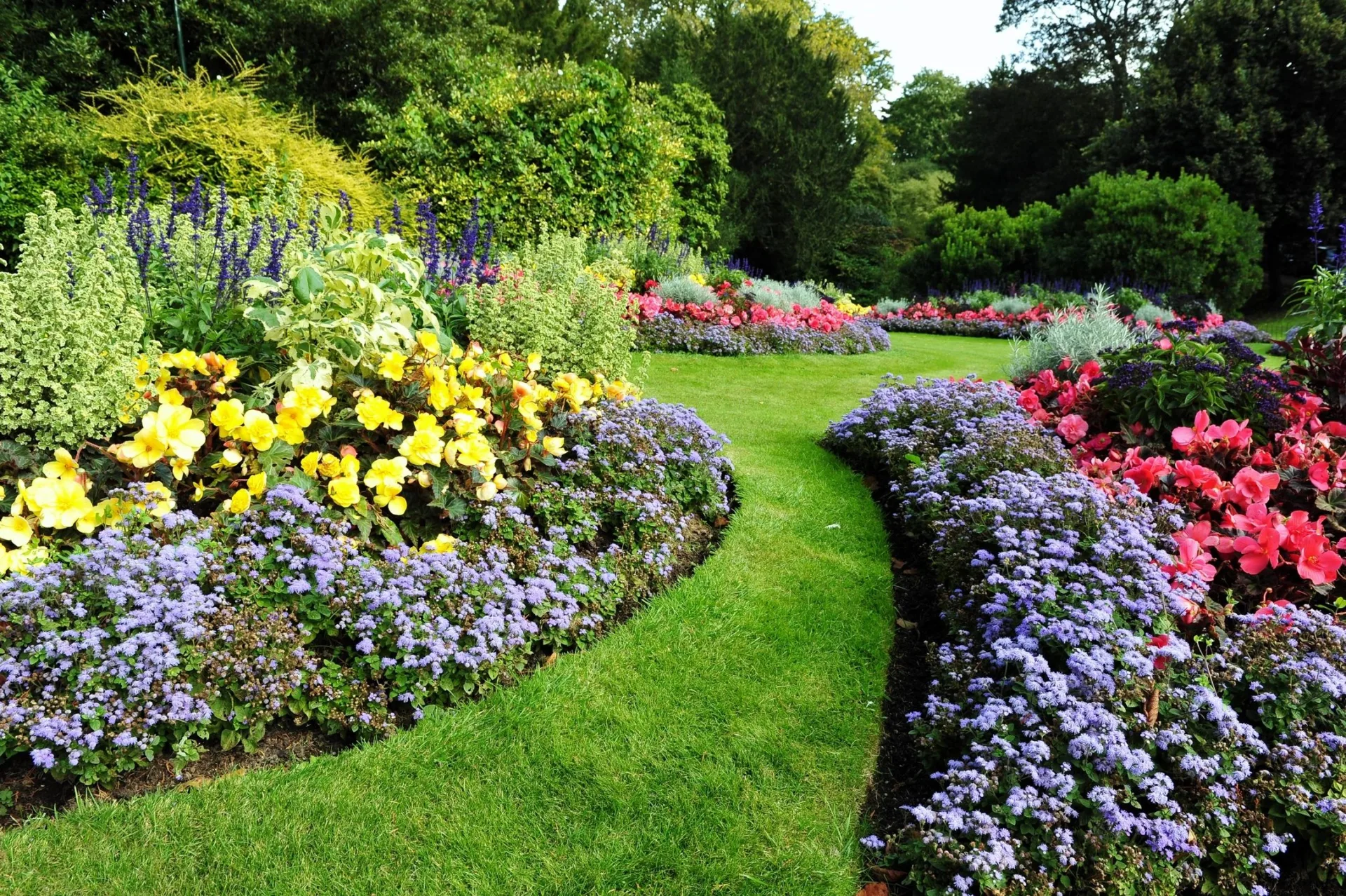 Annual Flowers & Seasonal Color