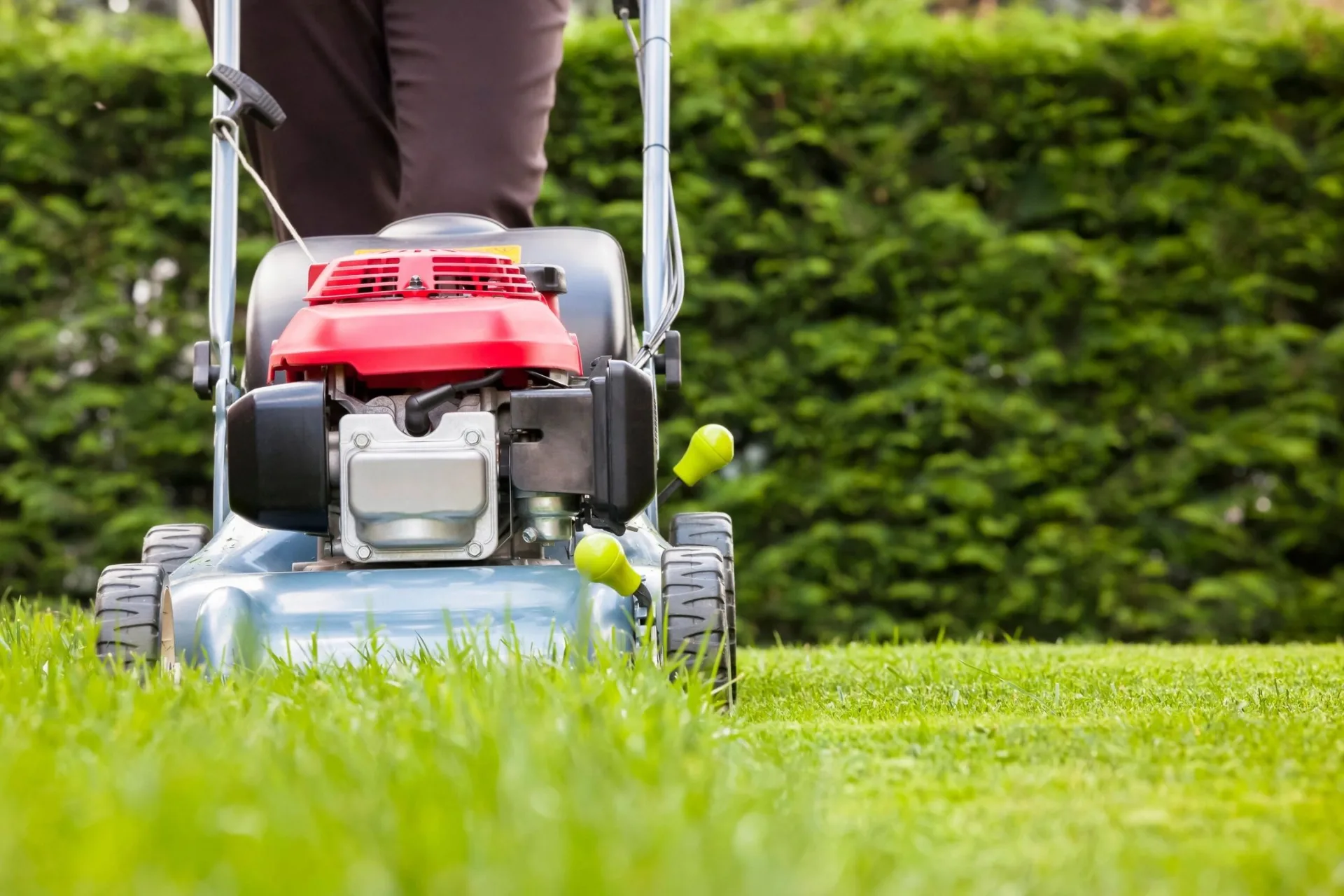 Lawn Maintenance