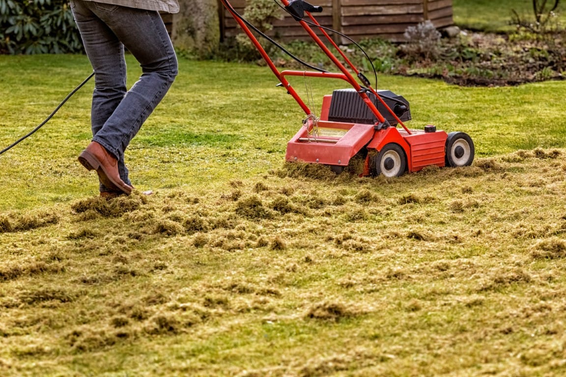 Dethatching