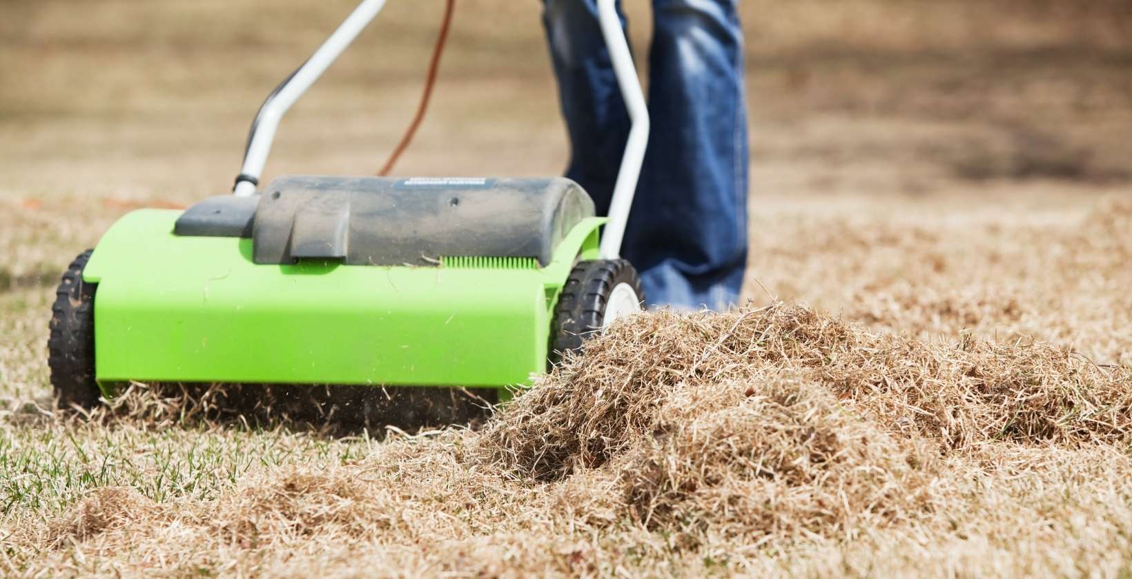 lawn dethatching