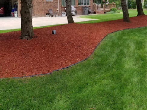 Mulch Installation