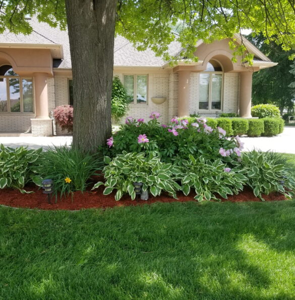 Beautifully landscaped front yard with lush greenery and flowers in Macomb County.