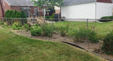 Backyard garden with lawn and flowers, ideal for Macomb County lawn care and landscaping services.