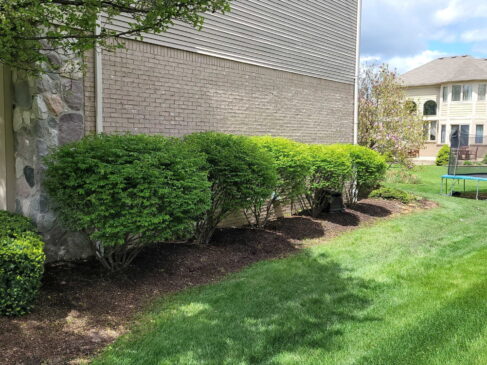 Beautifully maintained lawn and shrubs outside a home, showcasing Macomb County landscaping services.
