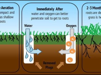 Core Aeration Diagram Before and After