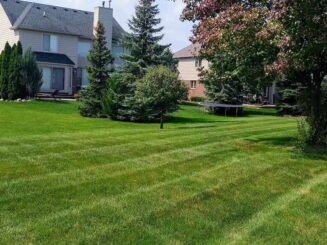 banner-home-back-yard-with-mowing-lines Lush green well-maintained lawn with mature trees and house in background, showcasing professional landscaping services.