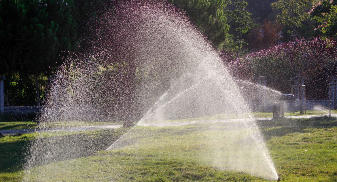 whole yard irrigation