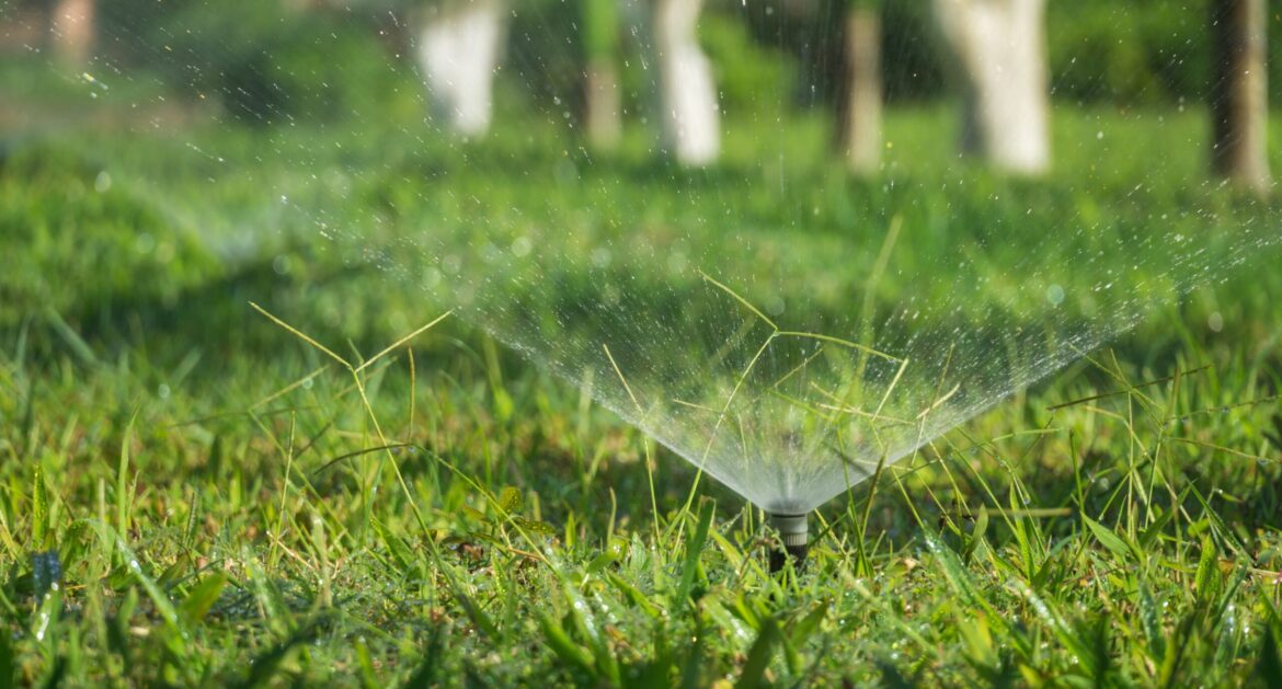 sprinkler head