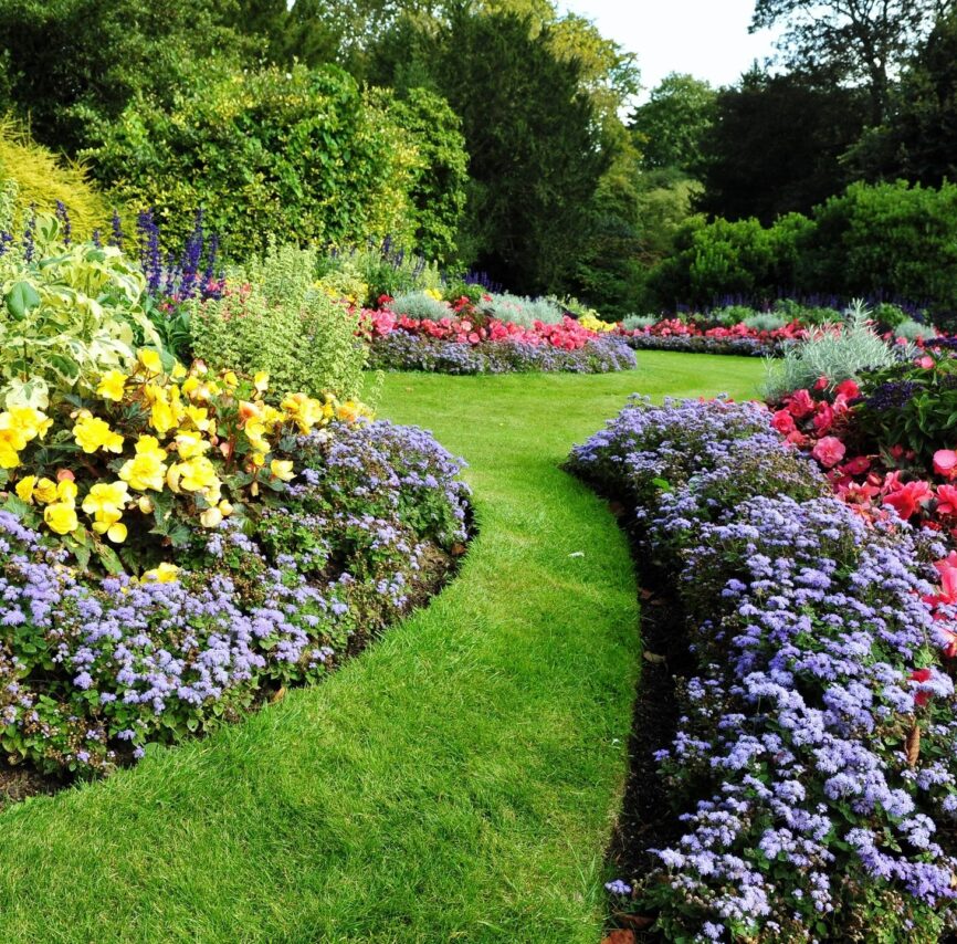 Annual Flowers & Seasonal Color