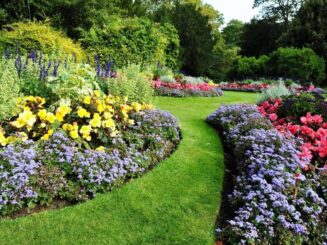 Colorful flower garden with lush green lawn and vibrant blooms, landscape design, lawn care, seasonal garden maintenance.
