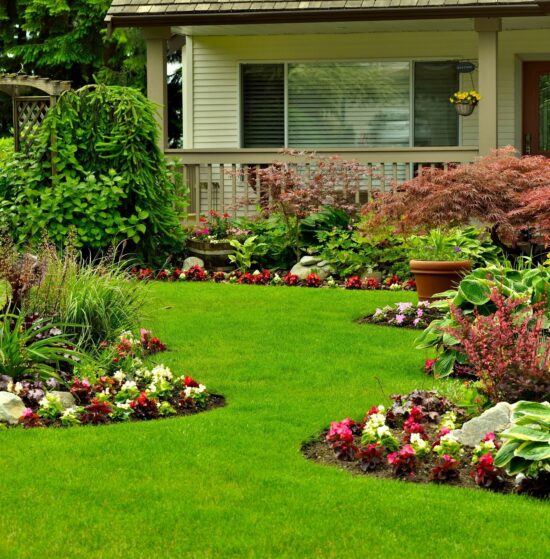 Annual Flowers & Seasonal Color