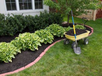 Lawn care and gardening tools in a well-maintained backyard garden with flowering plants and shrubs.
