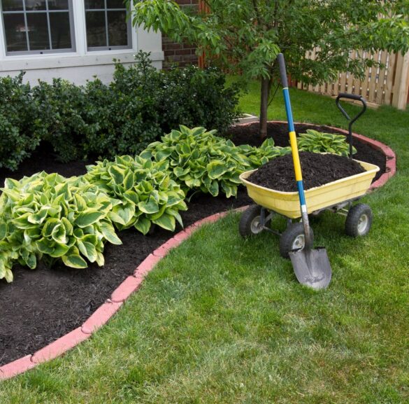 Plant Installation & Mulch Install