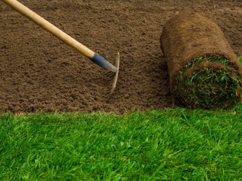 Macomb County lawn care, landscaping services, lawn maintenance, sod installation, gardening tools, home services Macomb.