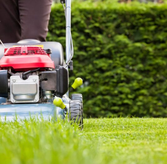 Lawn Maintenance
