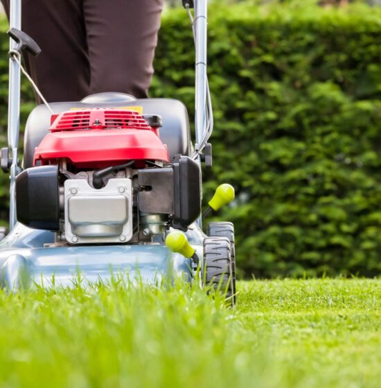 Lawn Maintenance