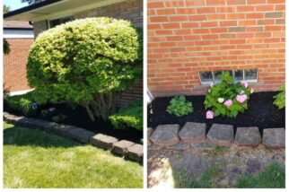 Macomb County lawn care and landscaping services, showcasing trimmed bushes and neat flower beds.