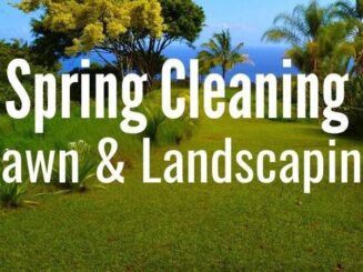 spring-cleaning-lawn-and-landscape Vibrant spring lawn and landscape with lush greenery, palm trees, and clear blue sky.